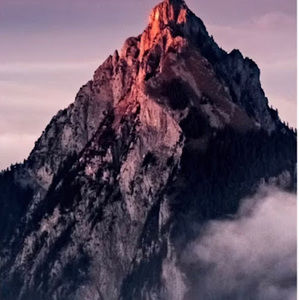 Meet your Posher, Aj